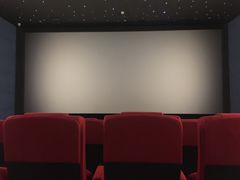 -太平洋影院(西村店)