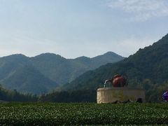 -听风阁农家私房菜茶楼(龙坞店)