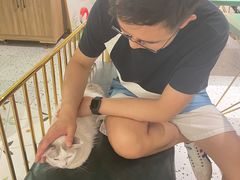 -喵喵咪呀布偶猫咖(春熙路店)