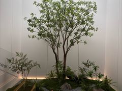 -柏乐口腔(南宁总院)