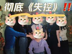 -Mr.Fox狐狸先生超级密室(南山店)