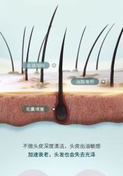 点击看大图 -雅仕 HAIR SALON 美发沙龙