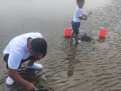 -刘家湾赶海园