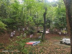 -上海佘山国家森林公园天马山园