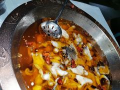 -雲蜀龙阁·金牌水煮鱼(方庄店)