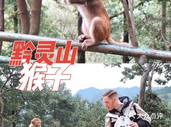 小马来贵州居然是为了黔灵山的猴子