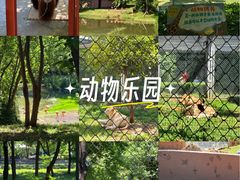 -合肥野生动物园