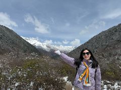 -黄龙山原始森林景区