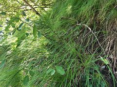 -汉中石门栈道景区