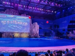 -华夏文旅海洋公园