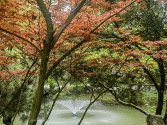 -上海醉白池公园