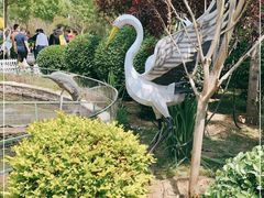 -南宫五洲植物乐园