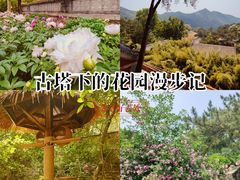 -潭柘寺景区