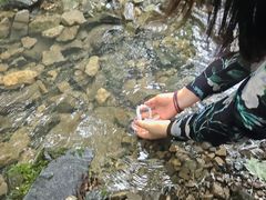 -关门山森林公园