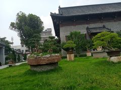 -花洲书院