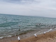 -青海湖国家重点风景名胜区