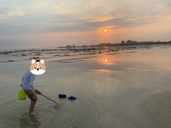 -红树林天天赶海