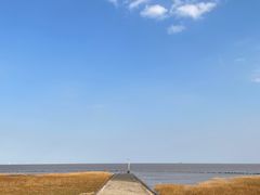 -南汇嘴观海公园