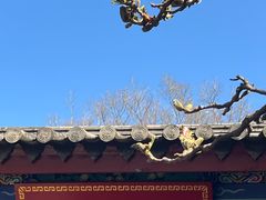 -真庆观