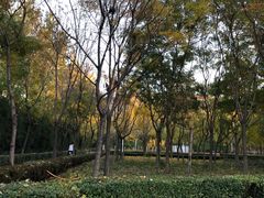 -国家动漫园