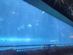 -华夏文旅西安度假区