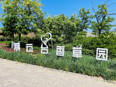 -紫云台香草园