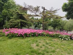 -丰台花园