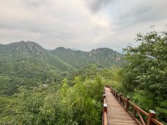-大岭沟猕猴桃谷风景区