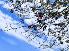 -广东金融学院(校本部)