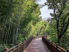 -紫金山山顶公园