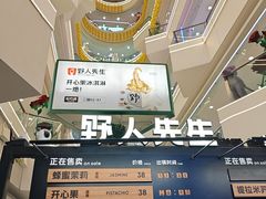-野人先生Gelato(上海长宁龙之梦店)