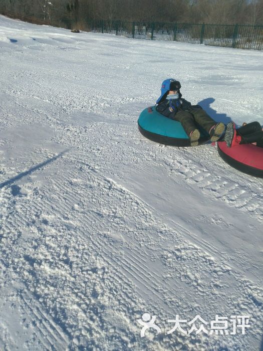 飞天滑雪场-图片-大庆周边游-大众点评网