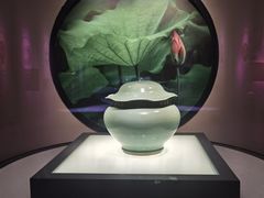 -四川宋瓷博物馆