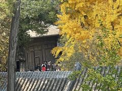 -大觉寺-停车场