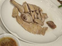 -侨美·唐荔园·40年地道粤菜