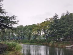 -金银湖国家城市湿地公园