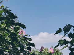-龟山风景区-龟山电视塔