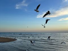 -老虎石海上公园