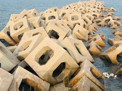 -东疆建设开发纪念公园