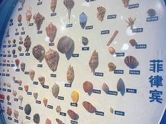 -海合安青岛极地海洋公园