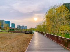 -西海子公园