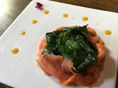 -百好乐宠物友好餐厅(朝外大街店)