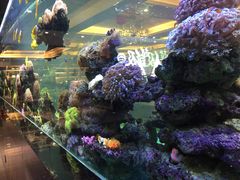-超级厨房概念餐厅(奥园广场店)