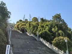 -铁山坪森林公园