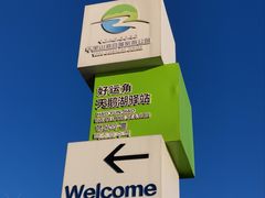 -烟墩角天鹅湖
