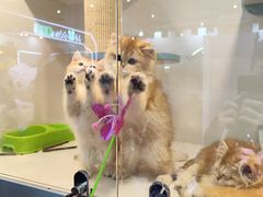 -东浩兰生上海世博展览馆