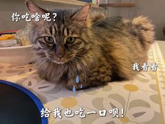 -碧云国际社区·晓园