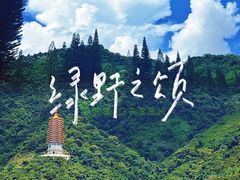 -深圳仙湖植物园