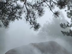 -玉苍山国家森林公园