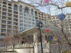 -龙熙维景国际会议中心